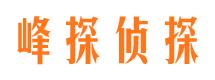 白塔市侦探调查公司